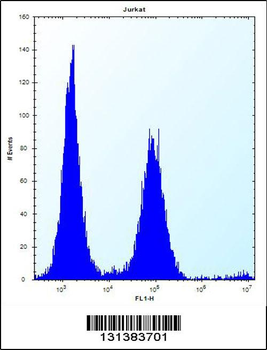 PSAPL1 Antibody (N-term)