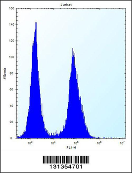LGALS4 Antibody (N-term)