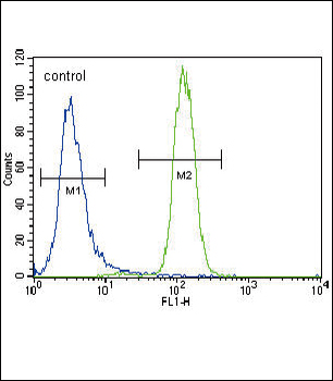 UGT2B15 Antibody (Center)