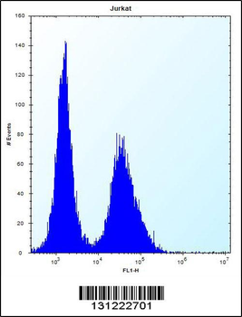 NBPF5 Antibody (C-term)