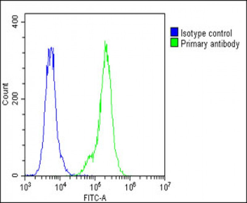 SFTPC Antibody (N-term)