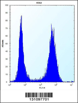 ND3 Antibody (N-term)