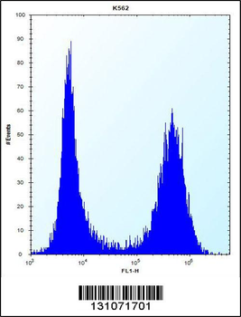 SCAP Antibody (N-term)