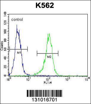 LIPC Antibody (Center)