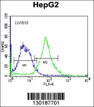 FNDC7 Antibody (C-term)