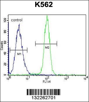 HMG1L10 Antibody (N-term)