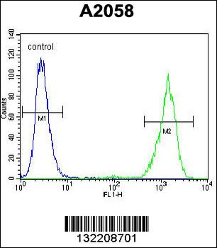 RAB10 Antibody (Center)