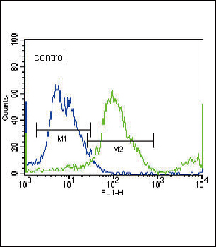 SLC36A1 Antibody (N-term)