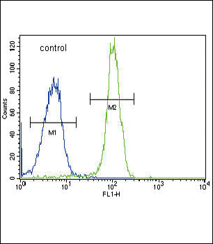 SDHD Antibody (N-term)