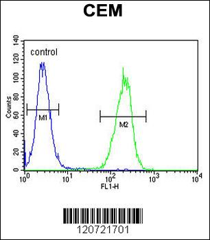 ZMYND10 Antibody (Center)