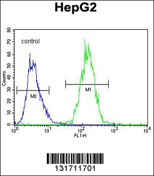 RDH13 Antibody (Center)