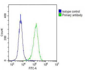 DEPD5 Antibody (C-term)