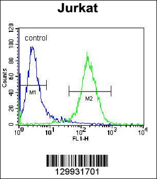 PPP1R3G Antibody (C-term)
