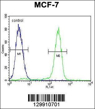 OTOP3 Antibody (C-term)