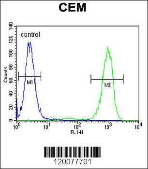 GPM6B Antibody (N-term)