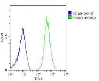 DEF Antibody (N-term)
