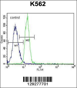 PTPN20A Antibody (Center)