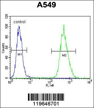 NIX Antibody (Center)