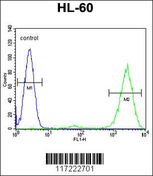 PTMA Antibody (N-term)