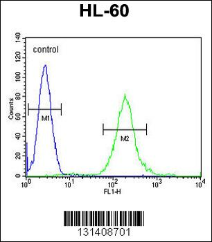 SOS2 Antibody (N-term)