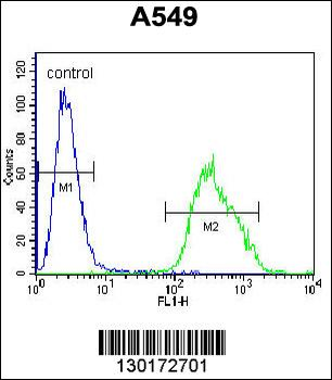 PALM3 Antibody (C-term)