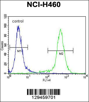LCN9 Antibody (N-term)