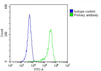 MART-1/Melan-A Antibody (Center)