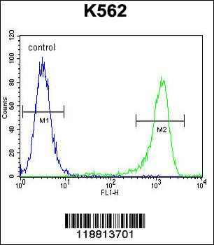 MLH1 Antibody (Center)