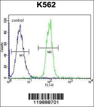 TCF21 Antibody (C-term)