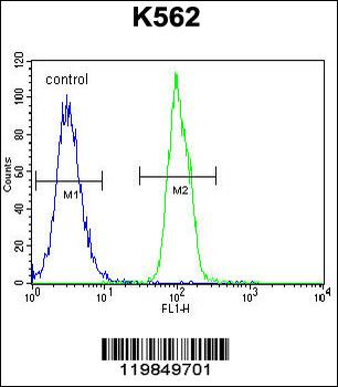 SFRP4 Antibody (C-term)