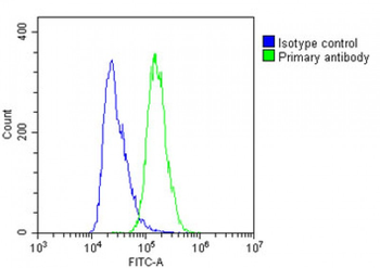SCEL Antibody (Center)
