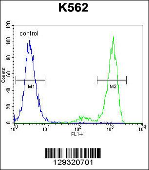 ESSPL Antibody (Center)