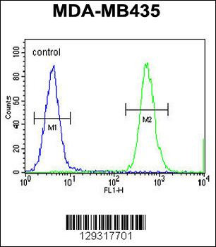 HNRNPCL1 Antibody (C-term)