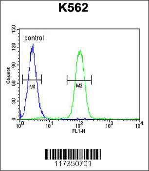 SP1 Antibody (C-term P692)