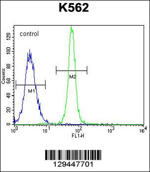 LRIT1 Antibody (C-term)
