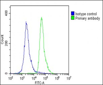 RAB12 Antibody (N-term)