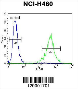 C4orf39 Antibody (C-term)