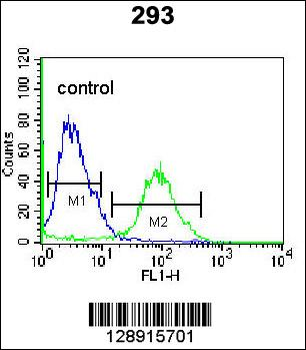 OR4F15 Antibody (N-term)