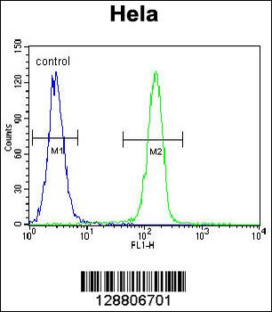 SELV Antibody (C-term)