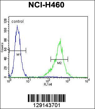 TSNARE1 Antibody (C-term)