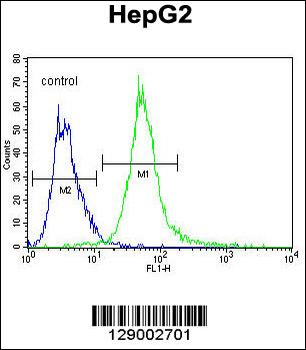 SPDYE1 Antibody (C-term)