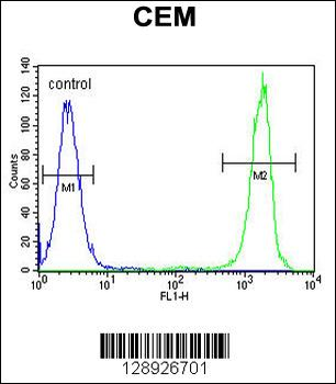 NUDT22 Antibody (C-term)