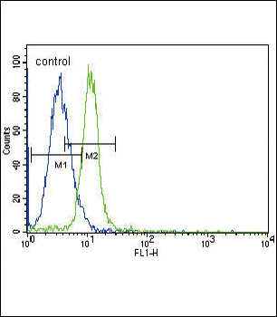 JAK2 Antibody (C-term)