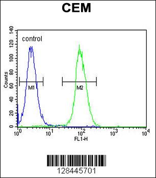 LIPC Antibody (N-term)