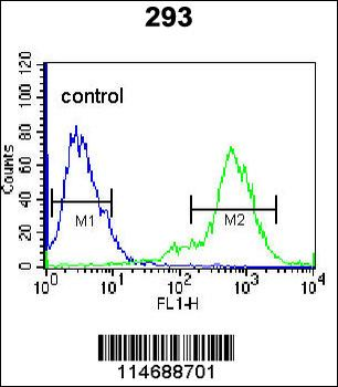 TIEG Antibody (Center)
