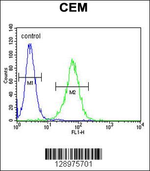 NXPH4 Antibody (C-term)