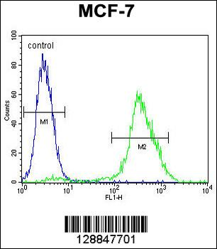 PMPCA Antibody (C-term)