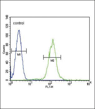 PLA2G2D Antibody (C-term)