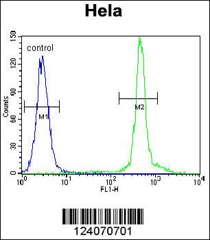 ASXL1 Antibody (Center)
