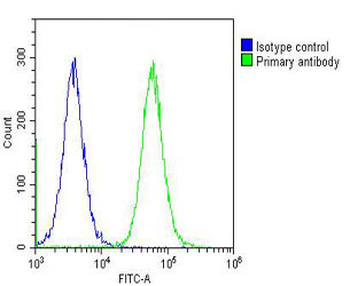 CAD Antibody (Center)